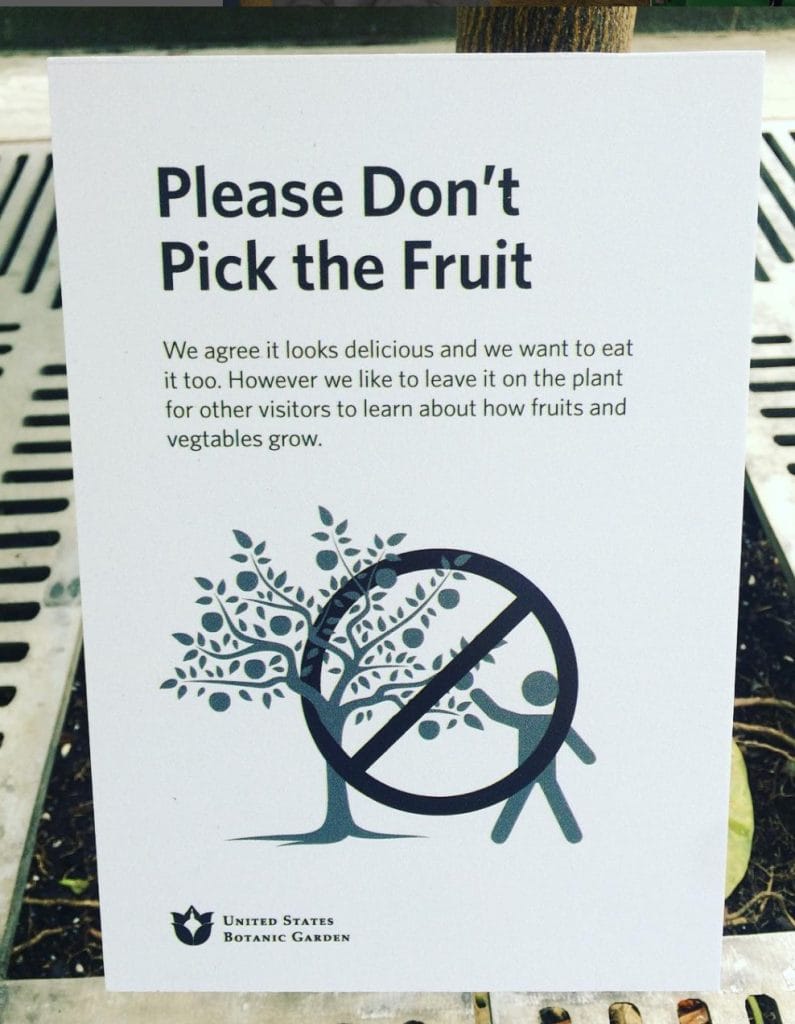 Dont-Pick-the-Fruit_Botanical-Garden-795x1024.jpg